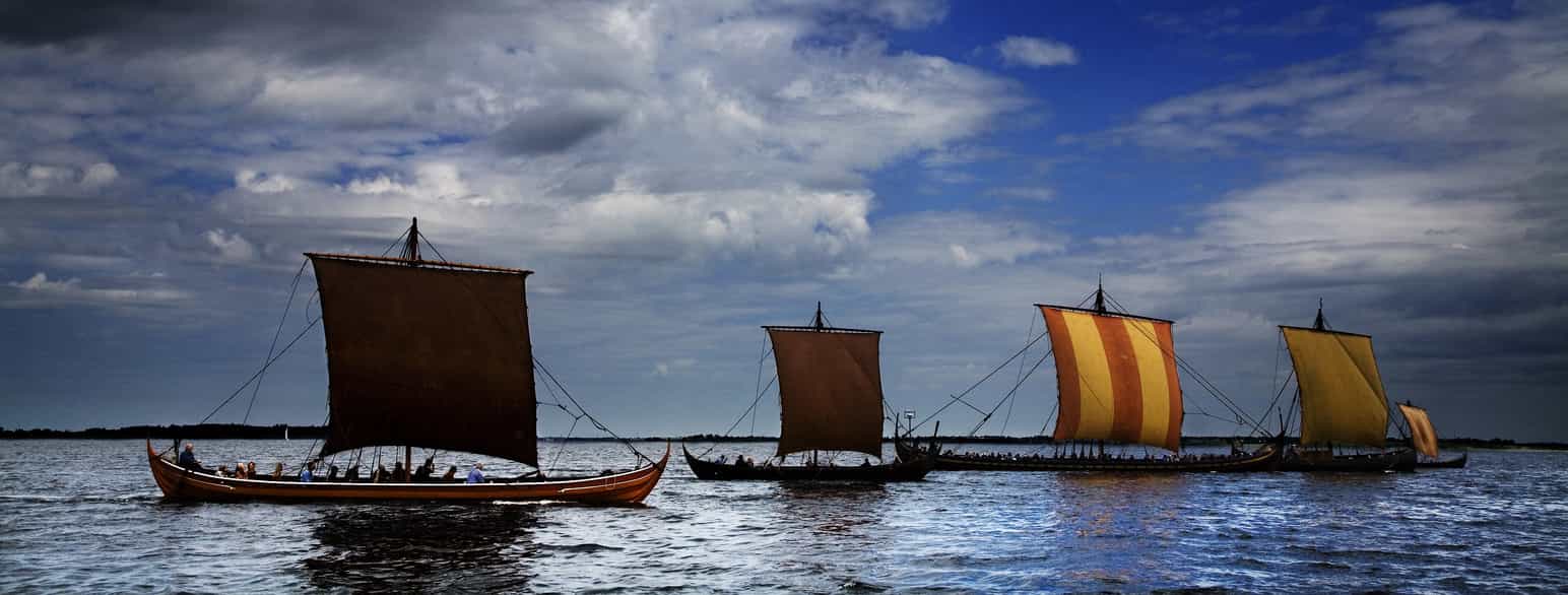 Kopier af de originale museumsskibe på Roskilde Fjord ved hjemkomsten af Havhingsten af Glendalough fra turen til Irland sommeren 2008.
