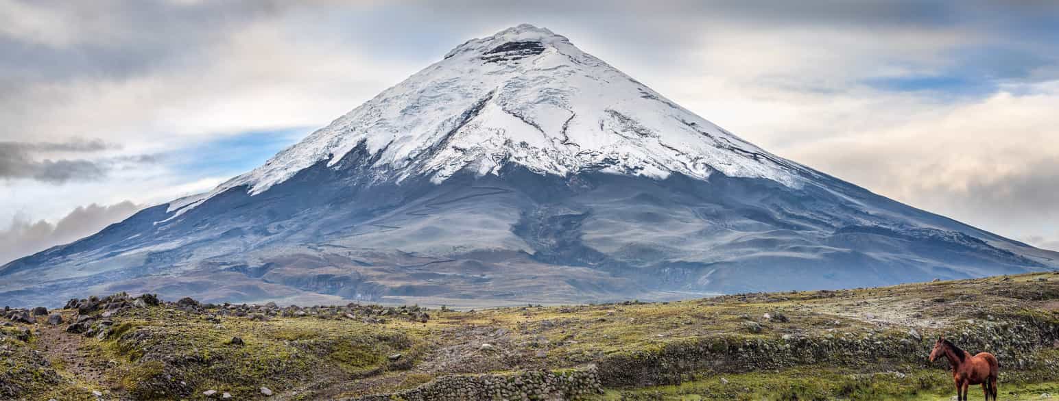 Cotopaxi-vulkanen i Andesbjergene i det centrale Ecuador