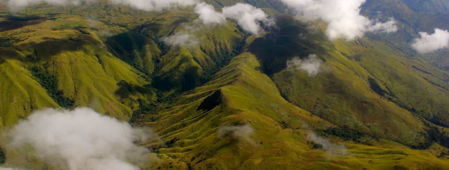 Bjerge i det nordøstlige DR Congo