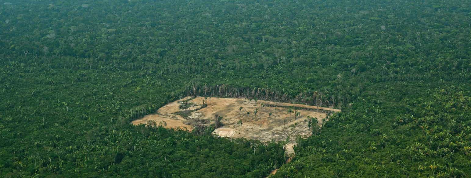 Skovrydning i Amazonas State, Brasilien, set fra luften i september 2017.