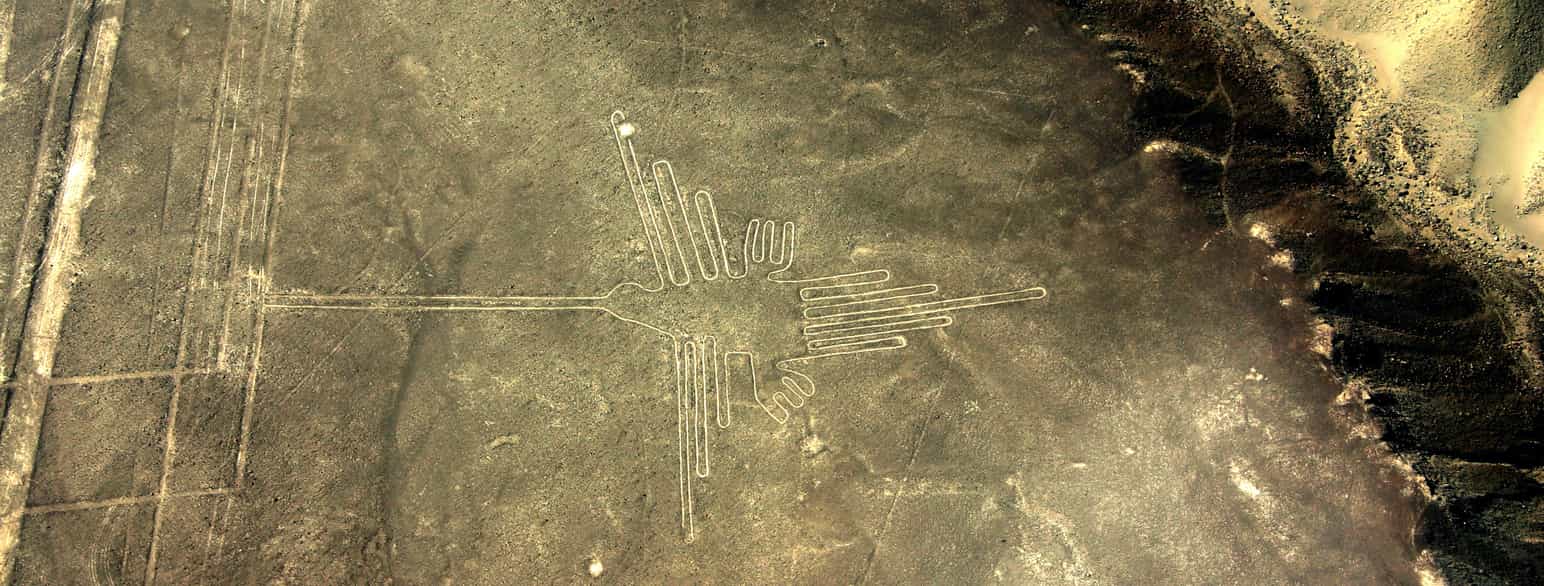 Kolibrien blandt Nazcalinjerne, som er såkaldte geoglyffer og optaget på UNESCO's verdensarvsliste