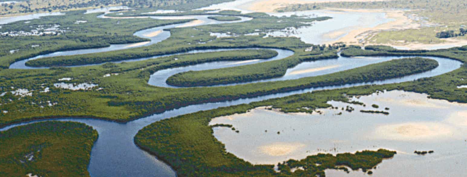 Saloum Delta Nationalpark