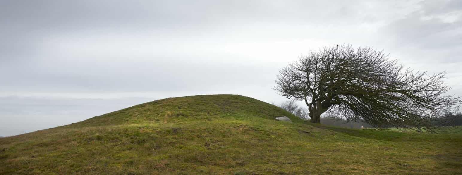 Gravhøjen og jættestuen Birkehøj fra stenalderen i Odsherred