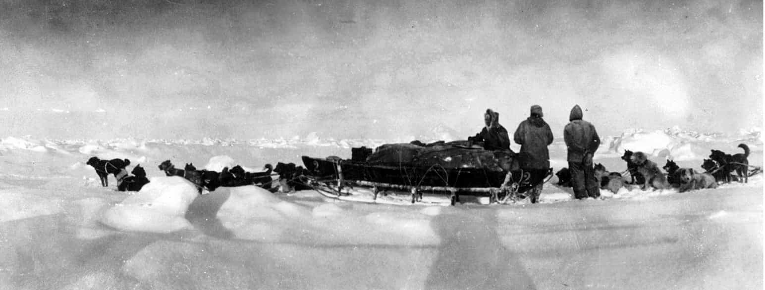 Medlemmer af Cooks ekspedition til Arktis. Den amerikanske læge og opdagelsesrejsende Frederick Albert Cook hævdede at have nået Nordpolen den 21. april 1908.