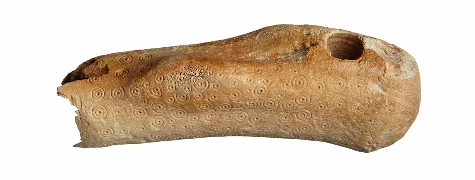 En ca. 18 cm lang økse af hjortetak fundet på Søren Jessens Sand