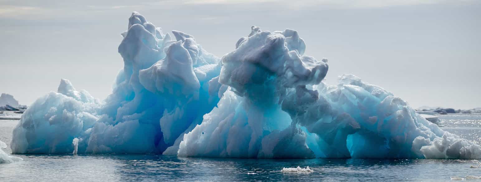 Isbjerg i en fjord nær Tasiilaq, Grønland i 2018.
