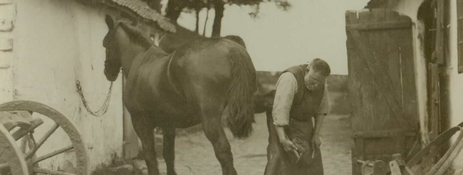 Smedemester i Årslev, Jens Andreas Kristensen, er i gang med at sko en hest, 1901