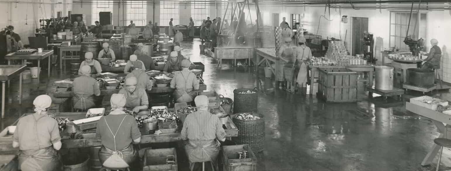 Et fotografi fra fiskekonservesfabrikken 555 i Kerteminde fra 1950’erne
