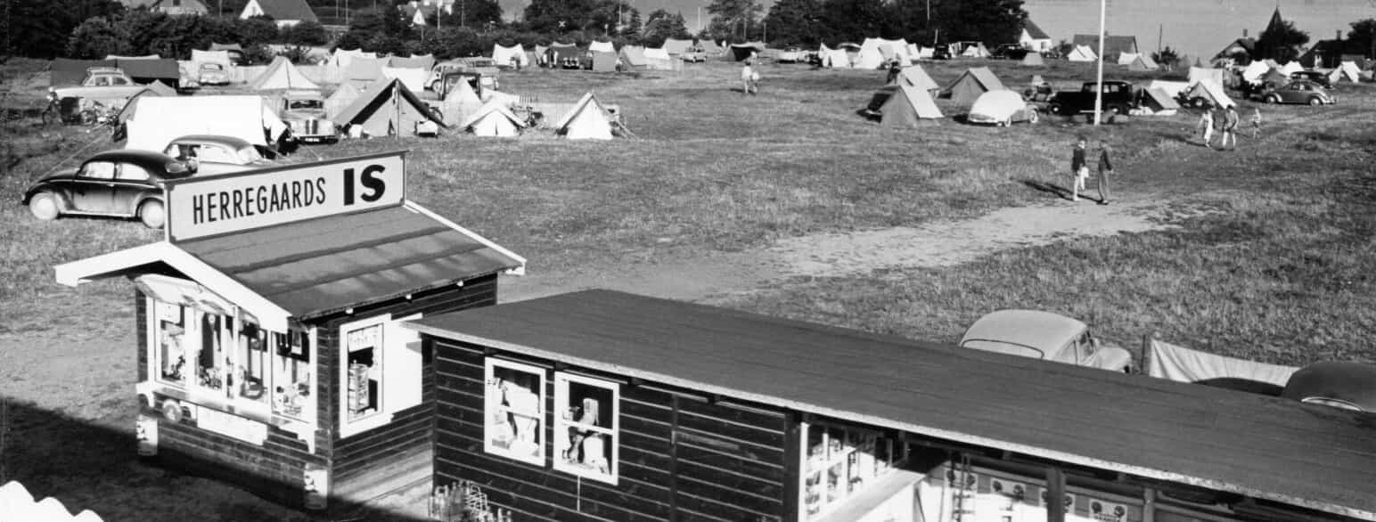 Campisterne nyder sommeren og udsigten over Lillebælt fra Bøgehøj Camping, ca. 1957-60