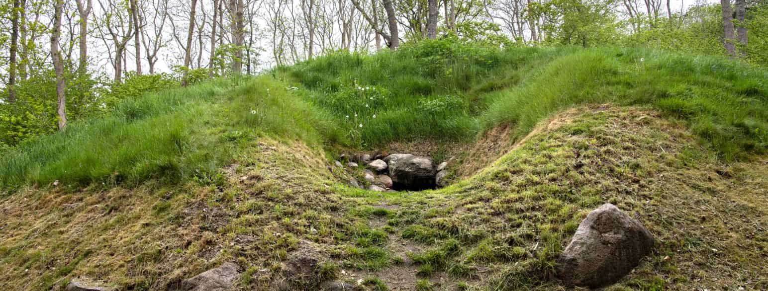 I skoven ved Sulkendrup Mølle ligger fem gravhøje. Den største rummer en jættestue fra ca. 3300-ca. 3200 f. Kr.