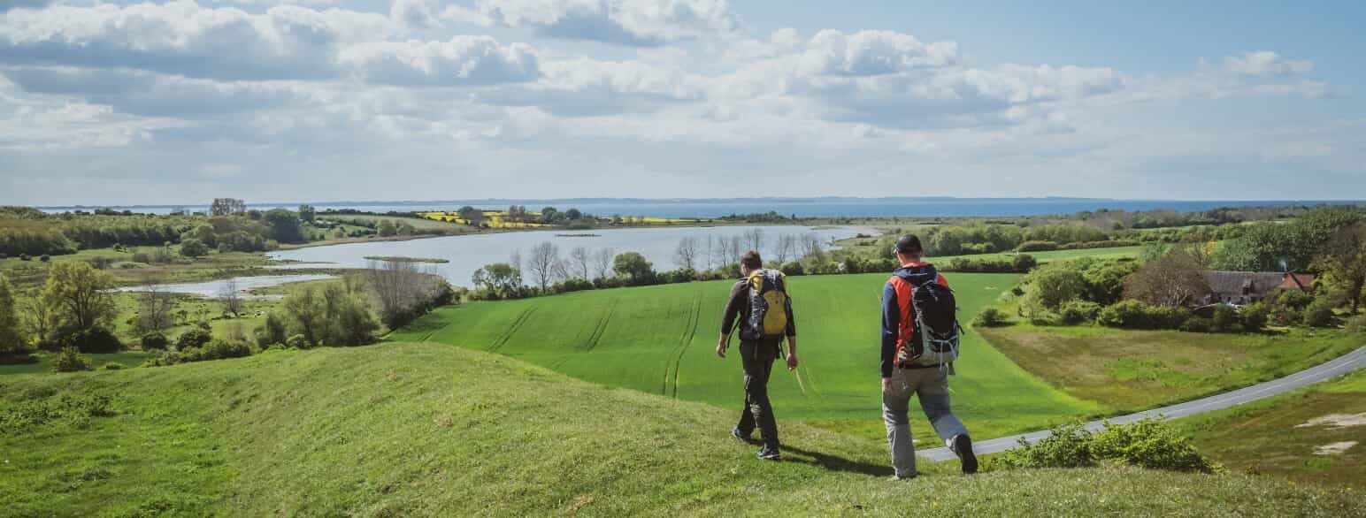 To vandrere på Østhavstien ned mod Vitsø, der glimter blankt i landskabet