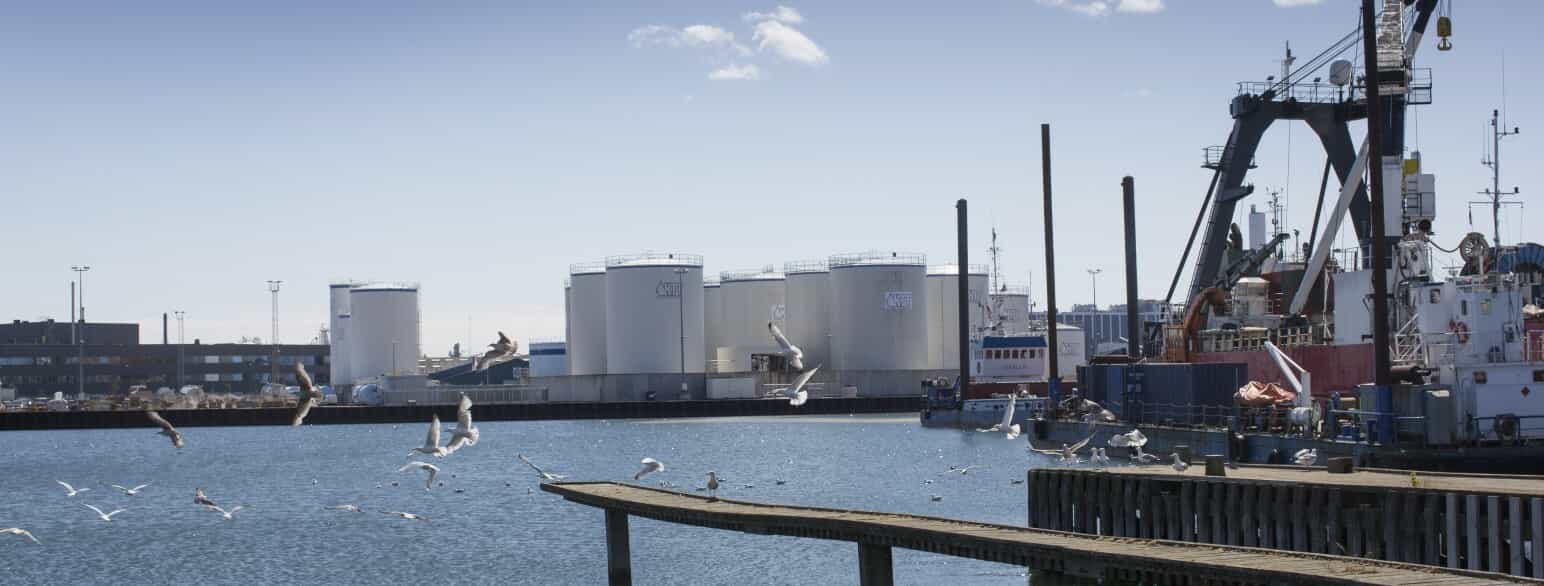 Med udsigt til havstigning er industrihavnen i Kalundborg omfattet af kommunens klimatilpasningsplaner