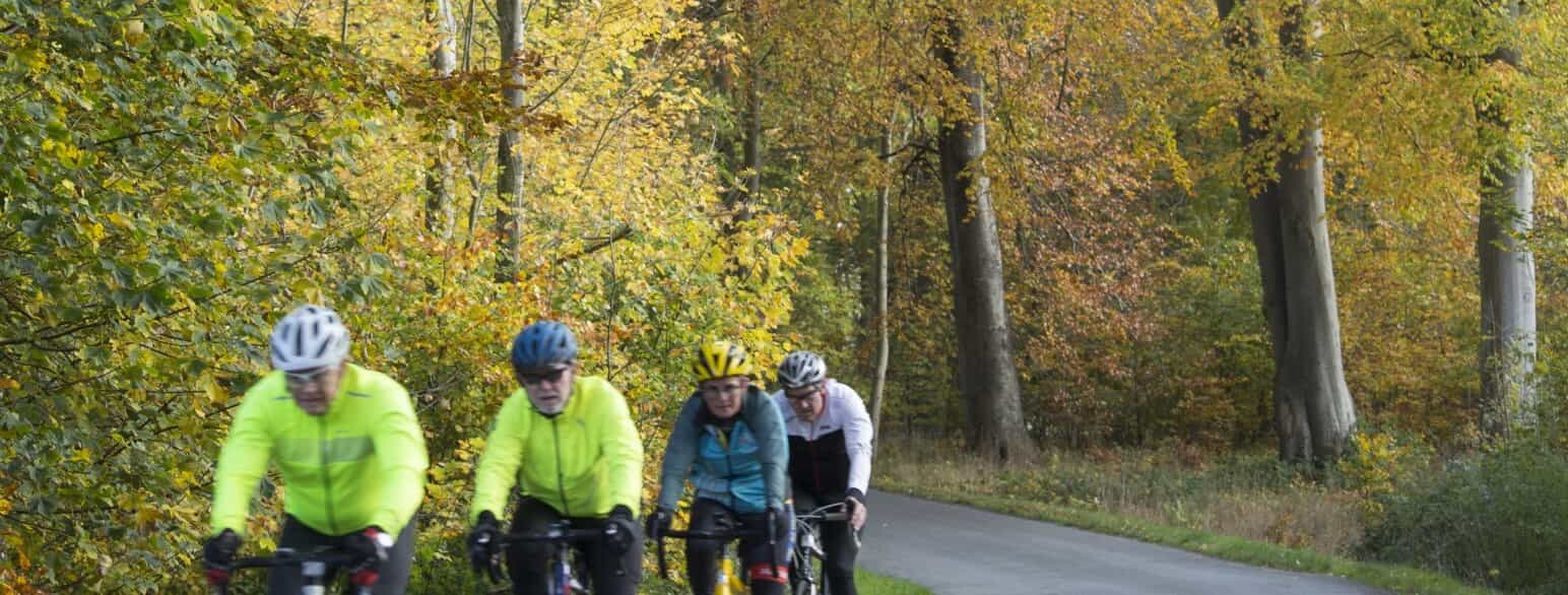 Det kulørte cykeltøj konkurrerer i farvepragt med træernes efterårsløv, mens cyklerne suser ud ad Asnæs Skovvej