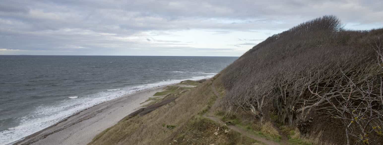 Klintebjerg, som for ca. 7.000 år siden var en ø i Littorinahavet