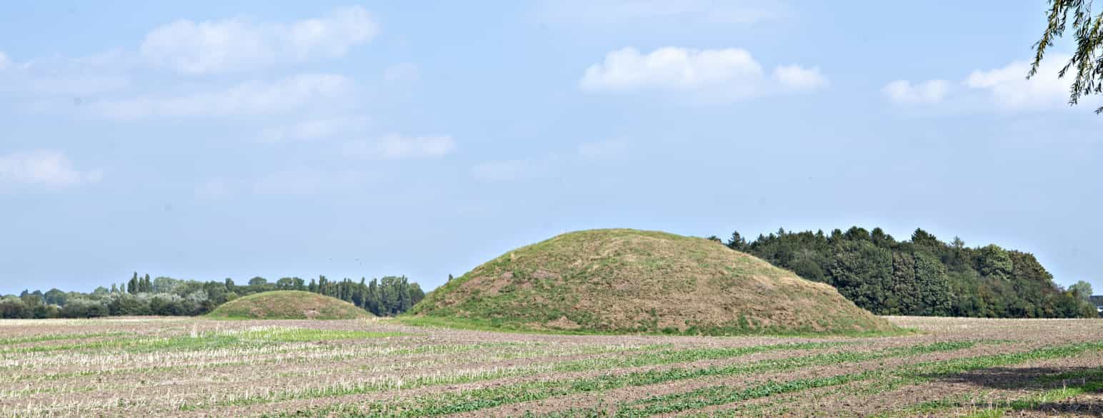 Nord for Solrød ligger en højgruppe med otte gravhøje fra ældre bronzealder