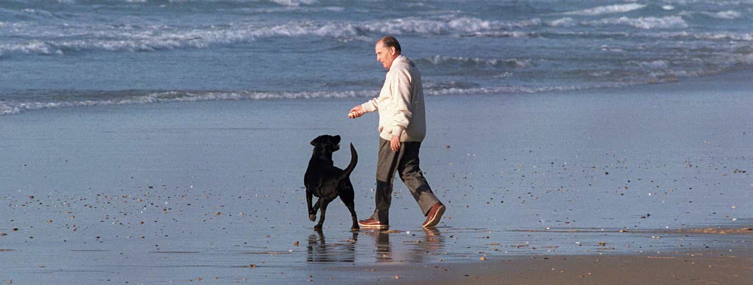 François Mitterrand lufter sin hund på stranden i Latche i Sydvestfrankrig, 1990