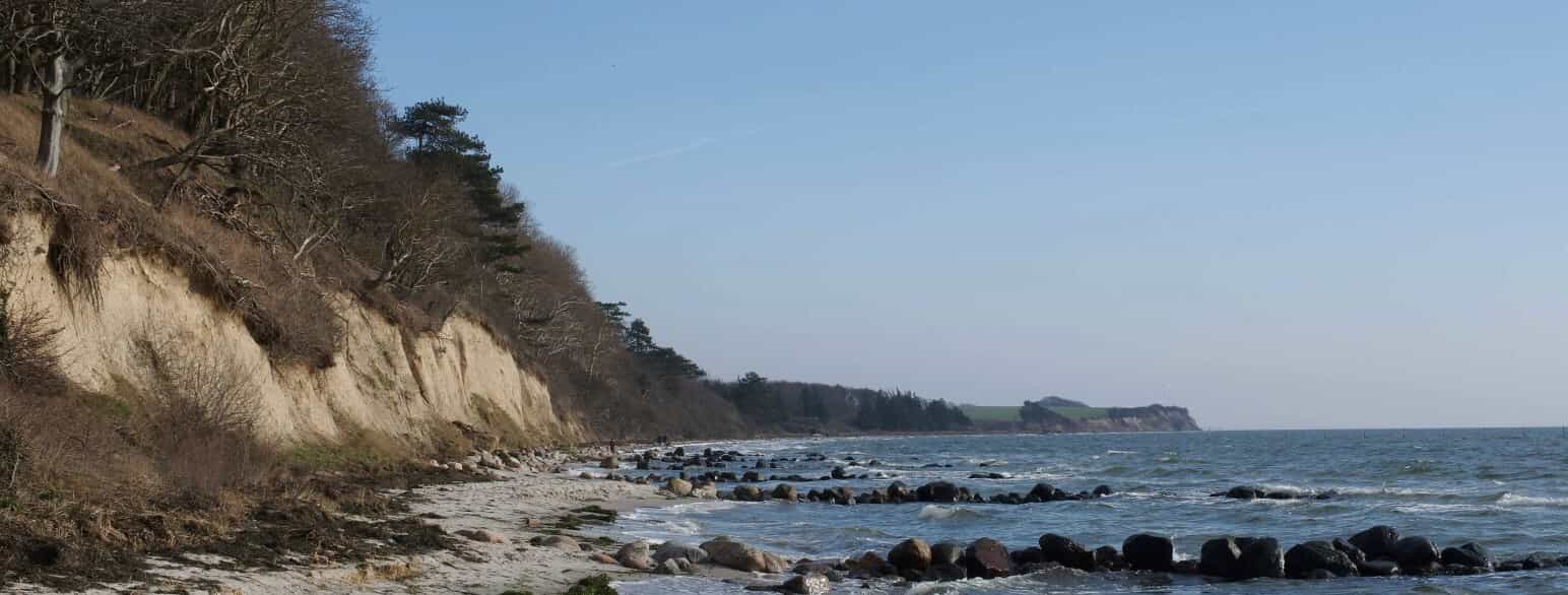 Den sydvendte klint ud for Kristiansholm Plantage er under erosion, og der er derfor mange steder anlagt stenhøfder for at beskytte kysten