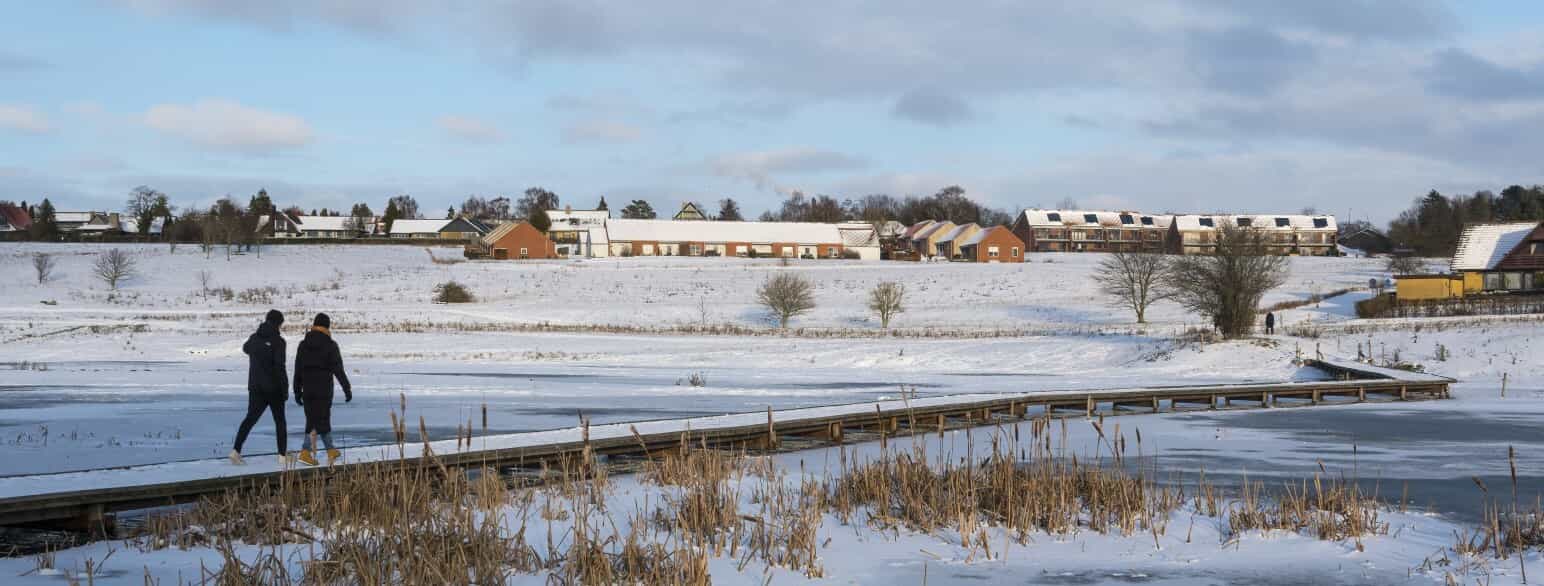 Vinterlandskab ved Ringsted Å