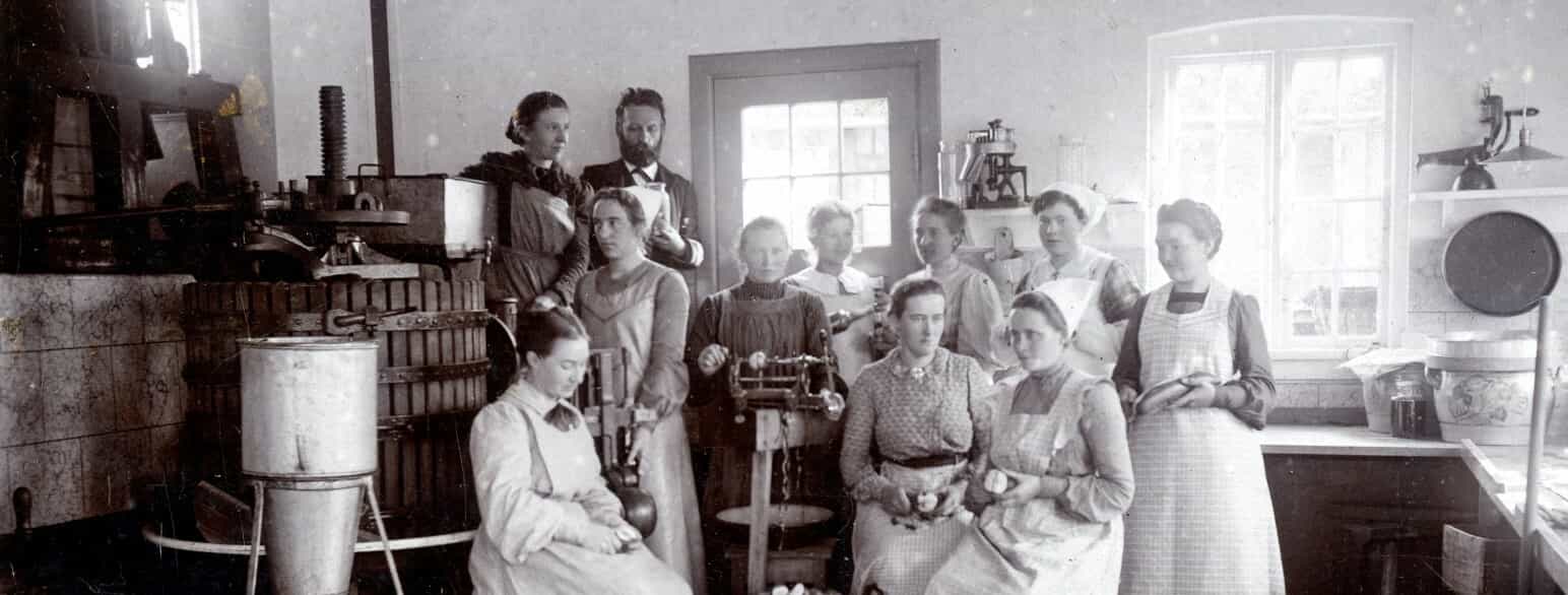 Sorø Husholdningsskole besluttede i 1903 at oprette Sorø Andelsfrugteri, der skulle stå for konservering af frugt og grøntsager