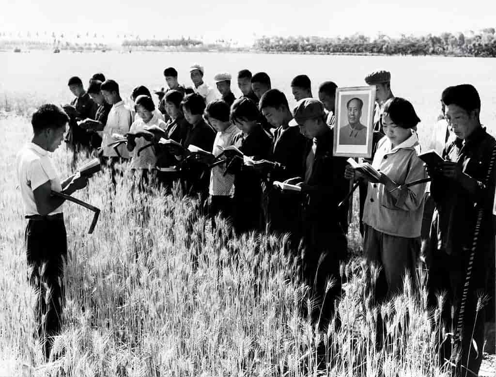 Arbejdet i folkekommunen er sat på pause, mens Mao Zedongs skrifter studeres. Billedet er fra 1967.