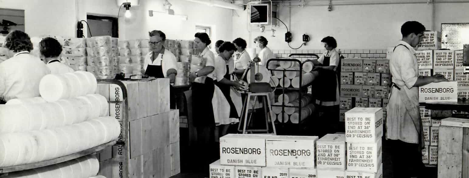 Ostepakkeriet på Lundby Mejeri ved Nørre Alslev i 1955