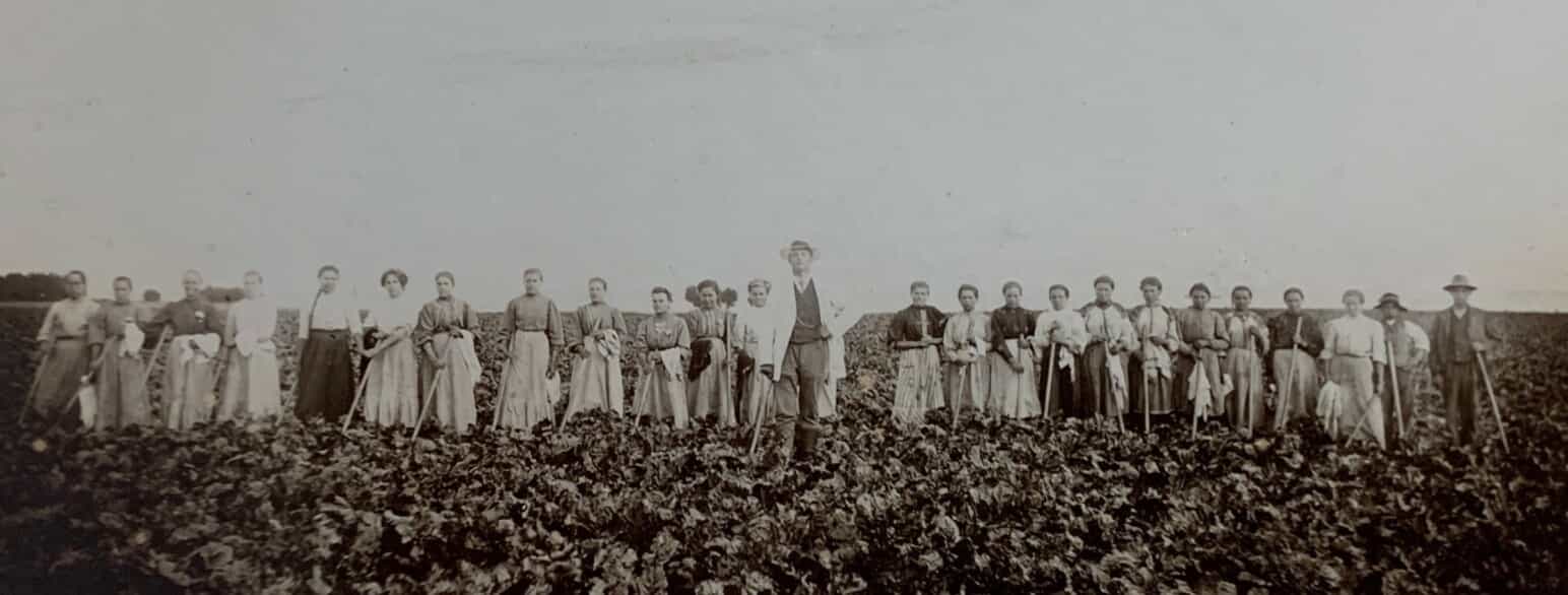 Østeuropæiske sæsonarbejdere på gården Kuldsminde på Fejø i 1911