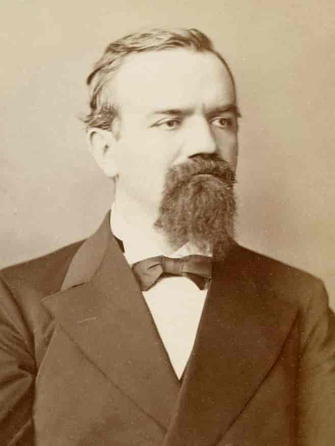 Portræt af Titu Liviu Maiorescu, 1882
