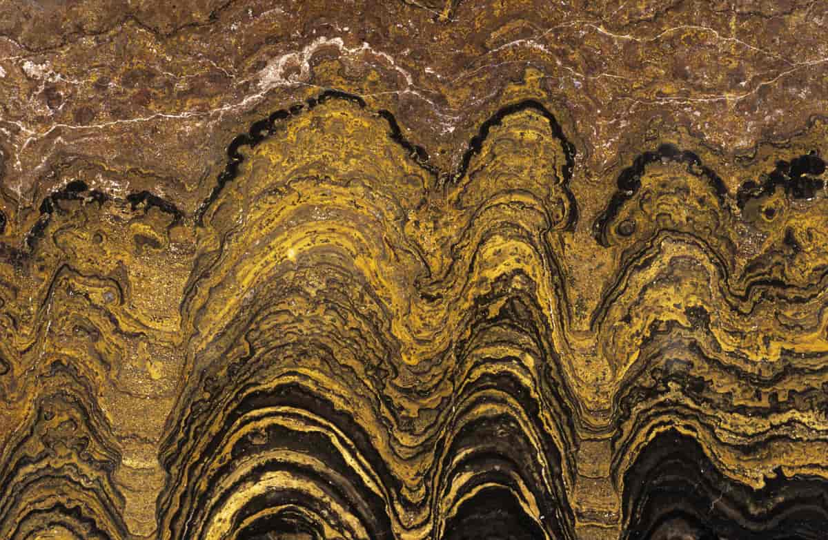 Stromatolitter