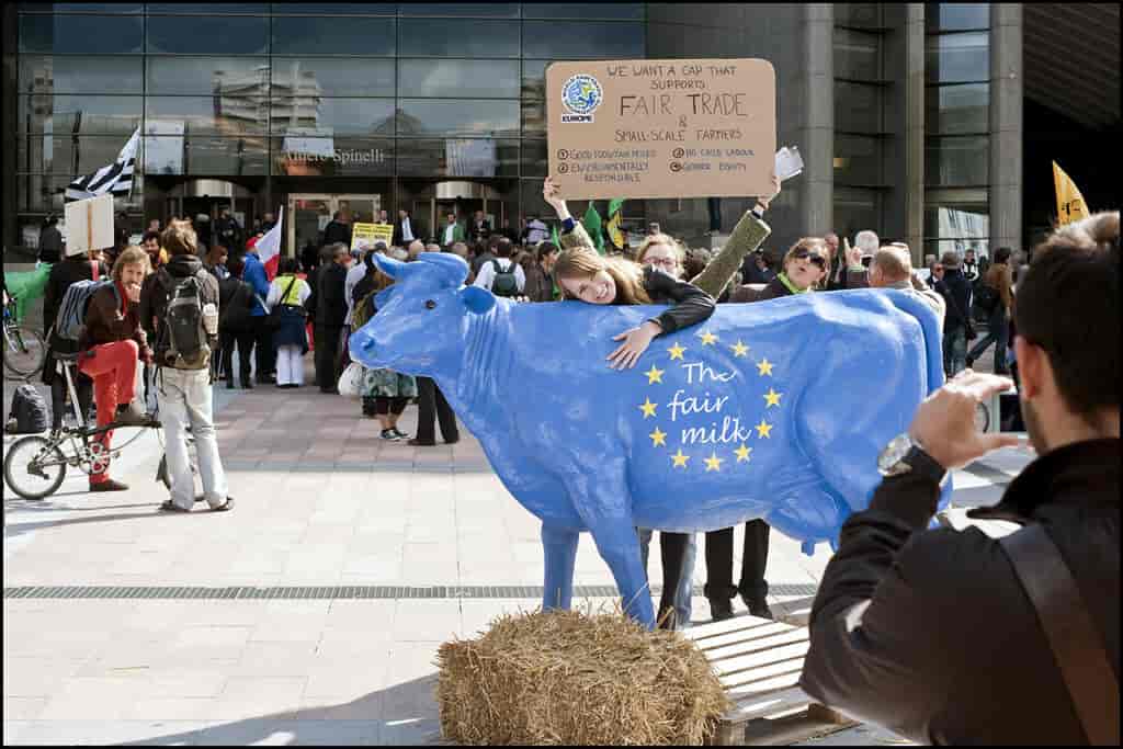 Demonstration uden for Europa-Parlamentet i Bruxelles mod EU's landbrugspolitik