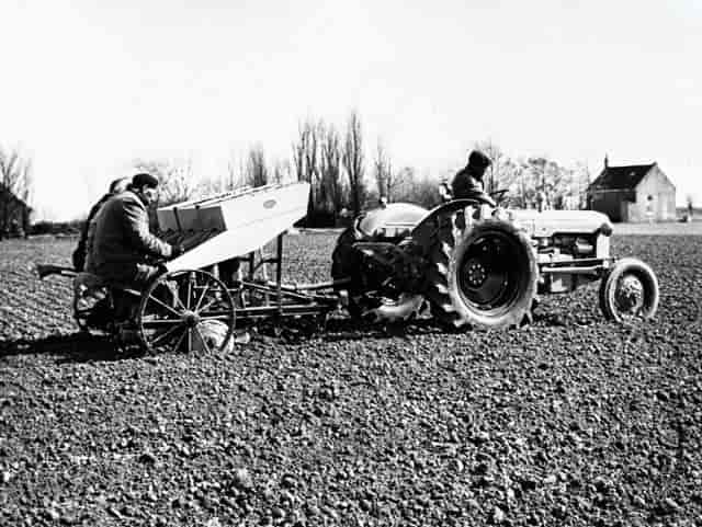 Såning i hollandssk landbrug 1964. Produktiviteten i europæisk landbrug er steget kraftigt siden.