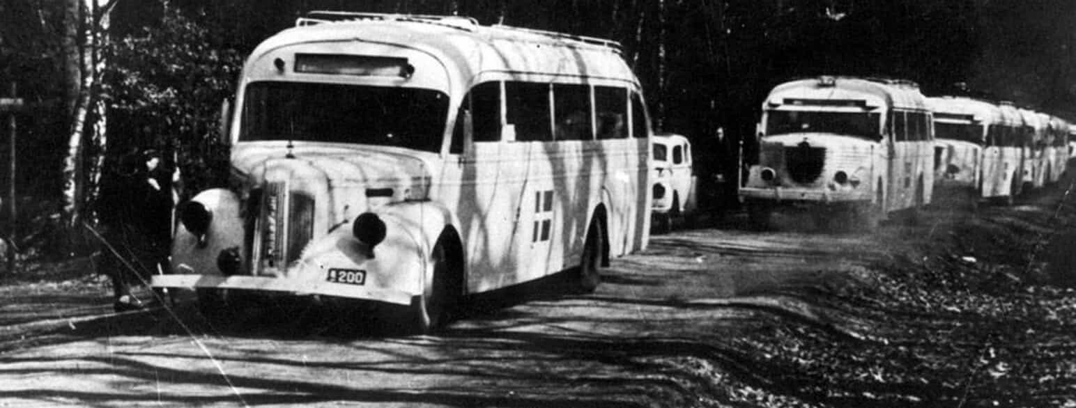 De hvide busser