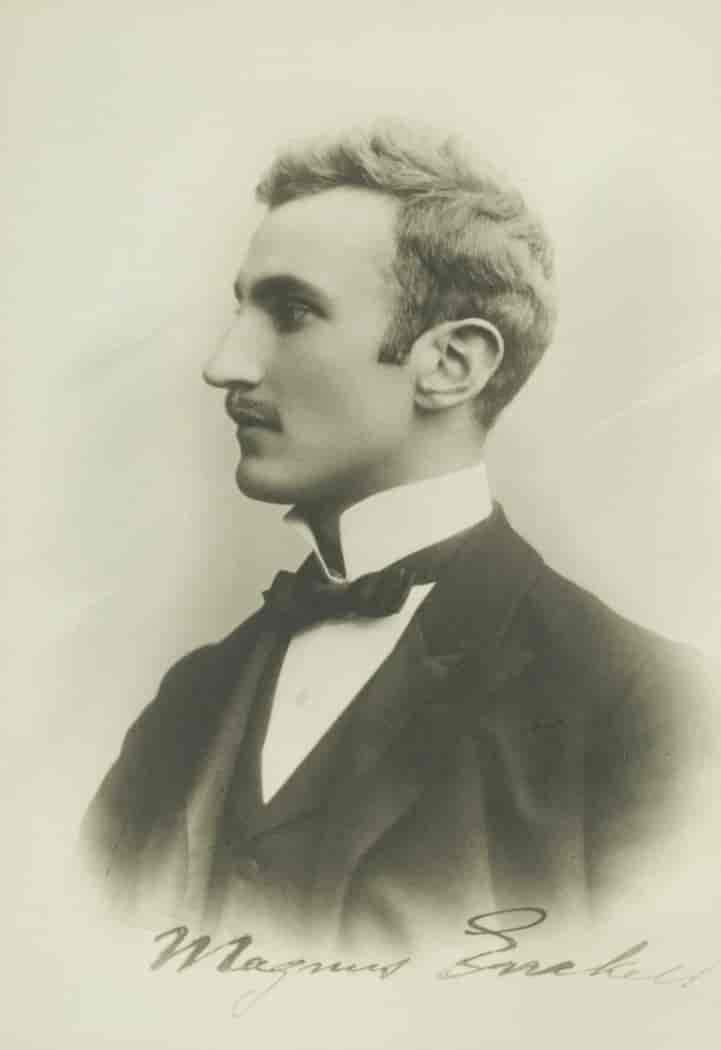 Magnus Enckell mellem 1888 og 1891