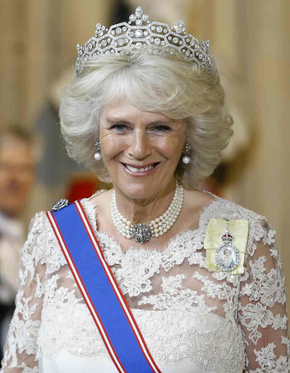 Camilla i 2013
