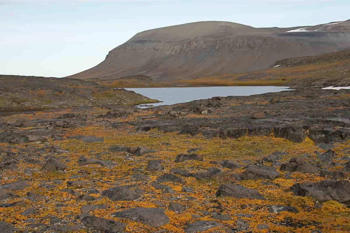 Barentsøya