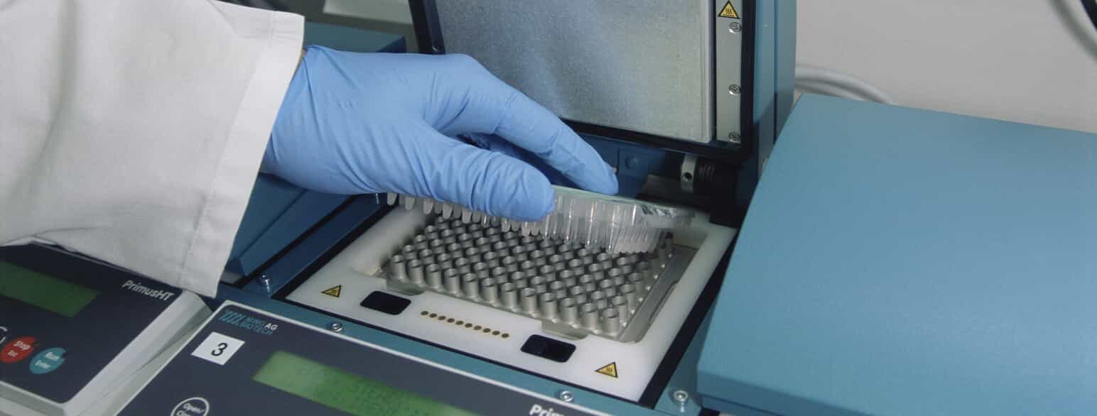 DNA-prøver gøres klar til amplificering ved PCR