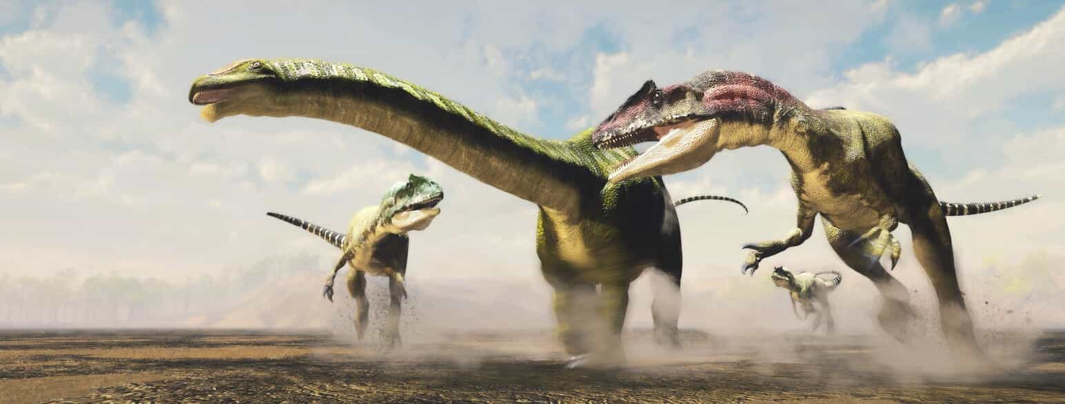Kunstnerisk gengivelse af tre Allosaurus fragilis, som forsøger at nedlægge en ung Brontosaurus excelsus. Sen Jura