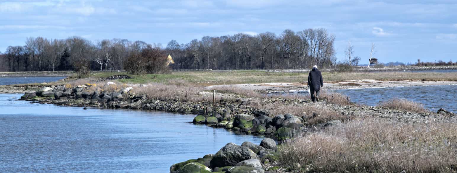 Stige Ø ved Odense Kanal