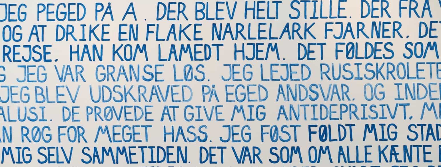 Billedkunstneren Gudrun Hasles tekstbroderier