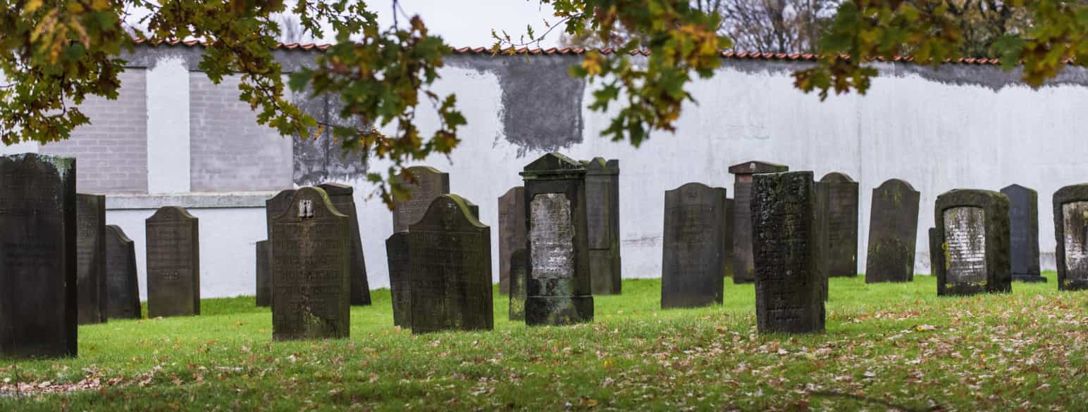 Den jødiske begravelsesplads i Fredericia