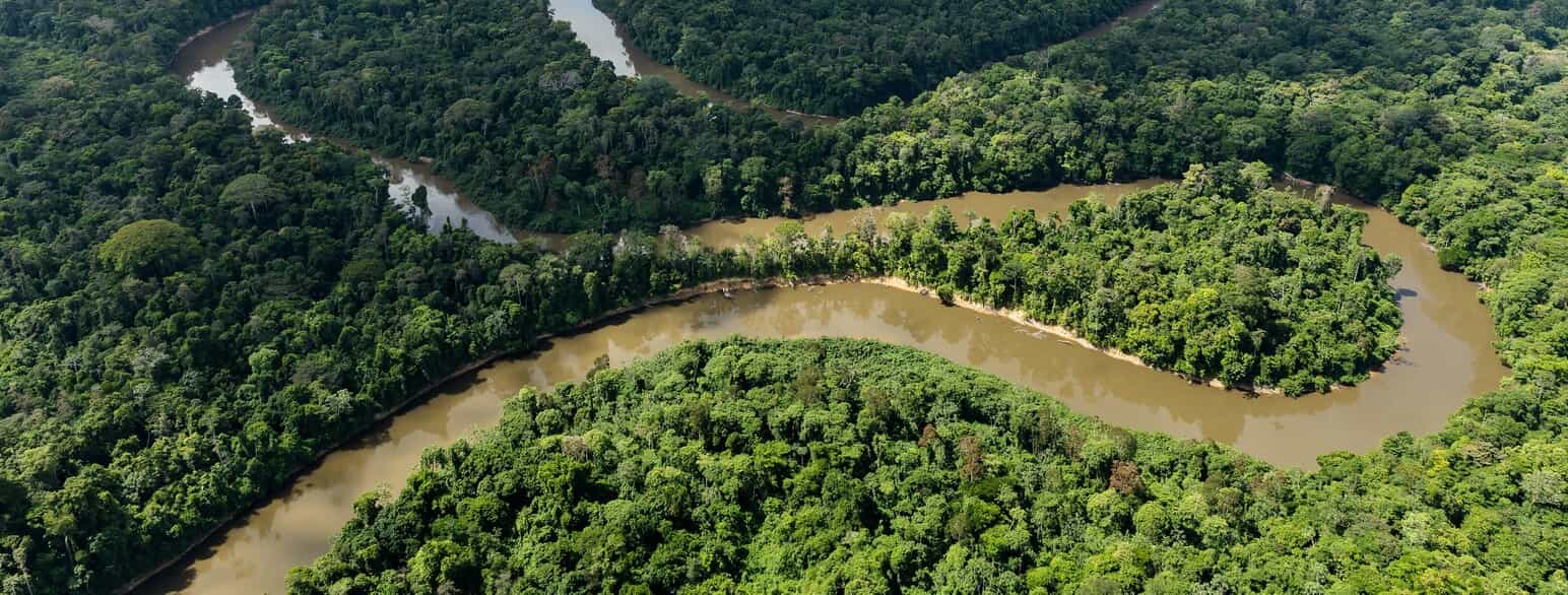 Den brunvandede flod Mana snor sig gennem regnskoven, der dækker Fransk Guyanas indre