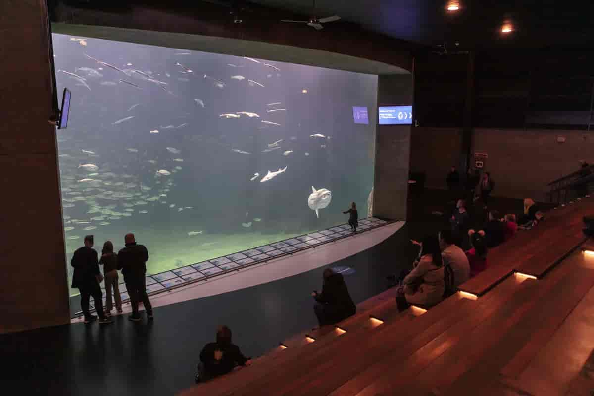 Nordsøen Oceanarium | lex.dk – Den Store