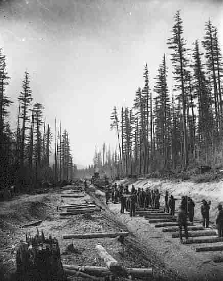 Der lægges skinner til Canadian Pacific Railway, 1881.