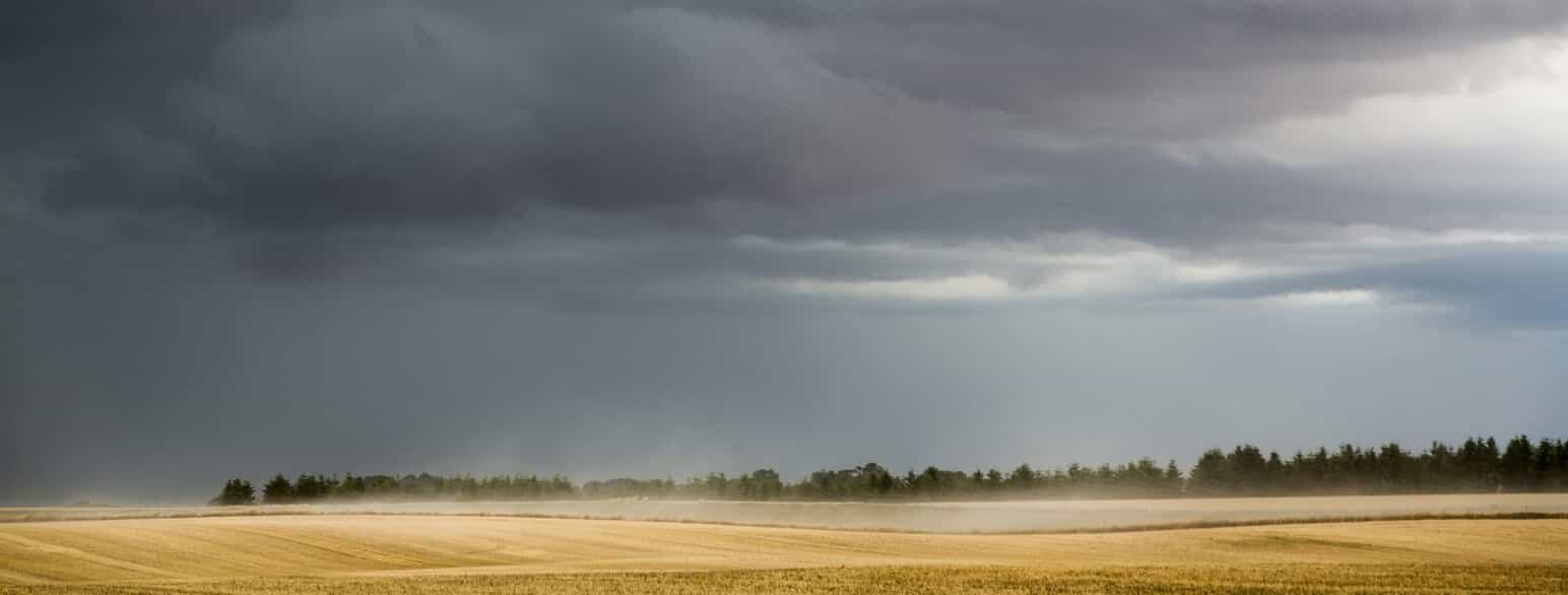Uvejr trækker ind over nyhøstede marker på Mols
