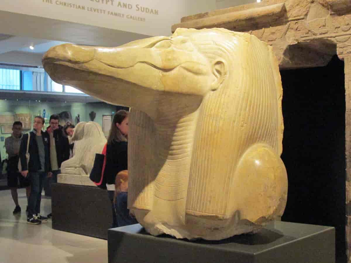 Hoved af en meget stor statue af korkodilleguden Sobek. Ashmolean Museum, Oxford.