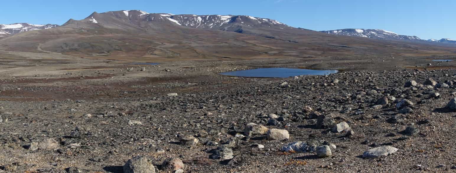 Morænelandskab med mange småsøer og vandløb. Her fra Zackenbergdalen i Nordøstgrønland