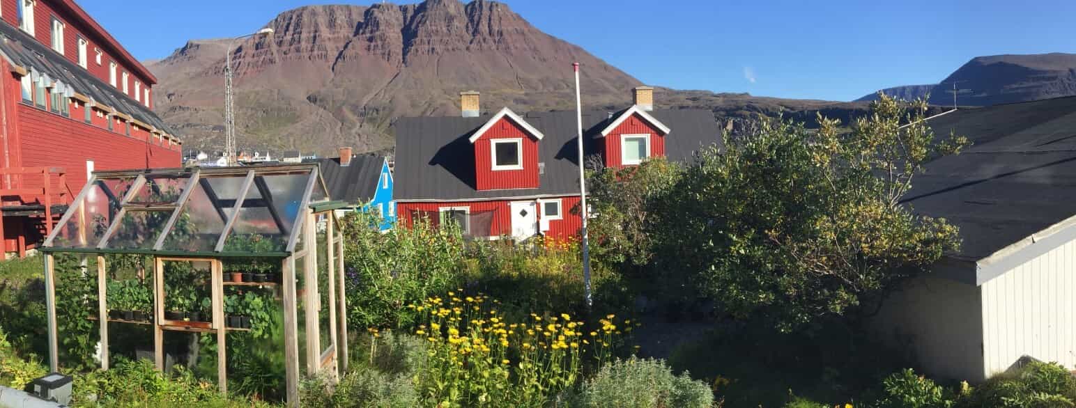 Byhave fra Qeqertarsuaq i Vestgrønland