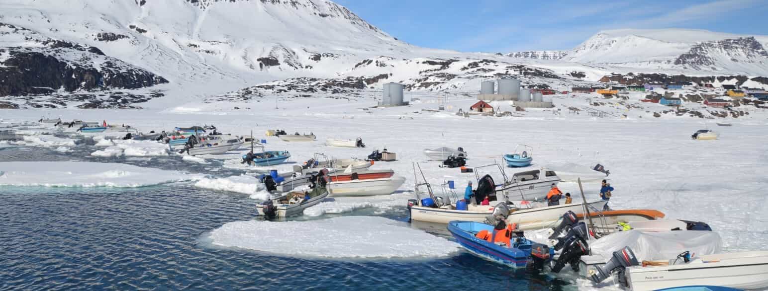 Her ligger joller ved kanten af den bugt, der danner havnen i Qeqertarsuaq, hvor fangst og fiskeri er en væsentlig del af befolkningens livsgrundlag