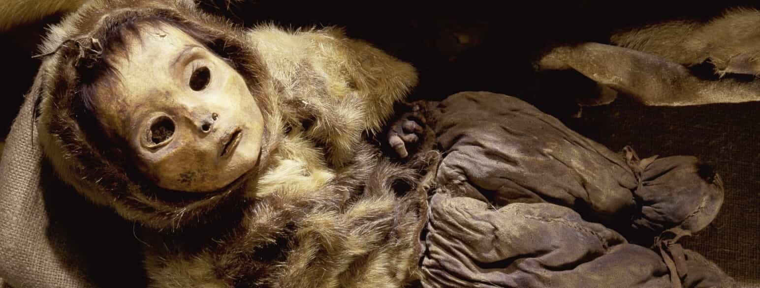 Dette naturligt mumificerede spædbarn blev begravet sammen med sin mor i den ene klippegrav ved Qilakitsoq omkring 1475