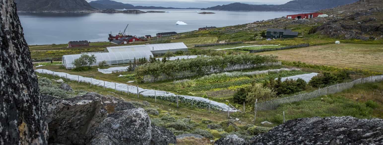 På Grønlands Selvstyres forsøgsgård, Upernaviarsuk forsøgsstation, arbejdes der med landbrugsforsøg, og elever på Upernaviarsuk Landbrugsskole modtager undervisning her