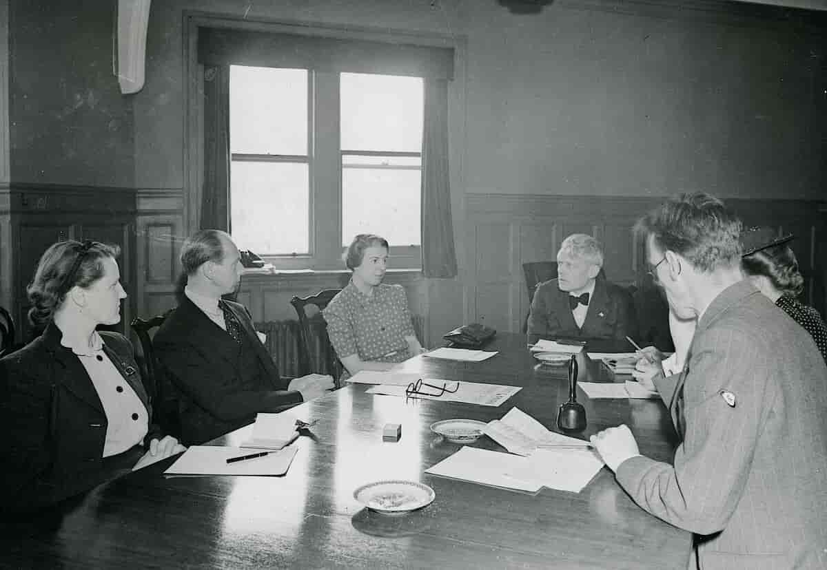 Møde i Det danske Raad